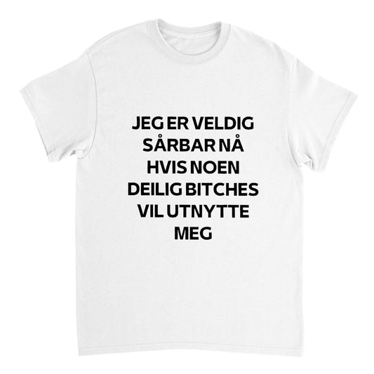 Jeg er veldig sårbar nå hvis noen deilig bitches vil utnytte meg T-skjorte